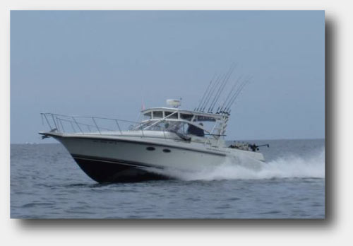 Reel Pleasure III Running