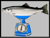 Official Weigh Station