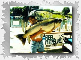 39.80 lb King Salmon!